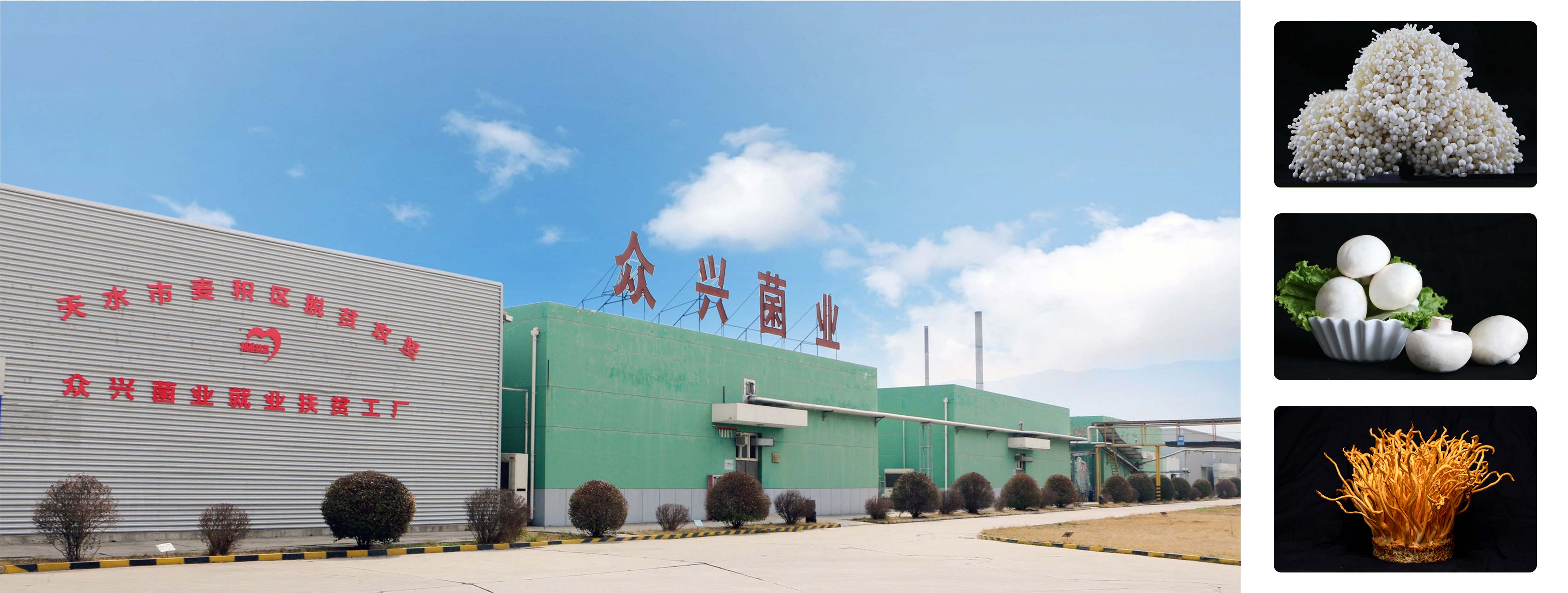 未標題-1.jpg 未標題-1.jpg