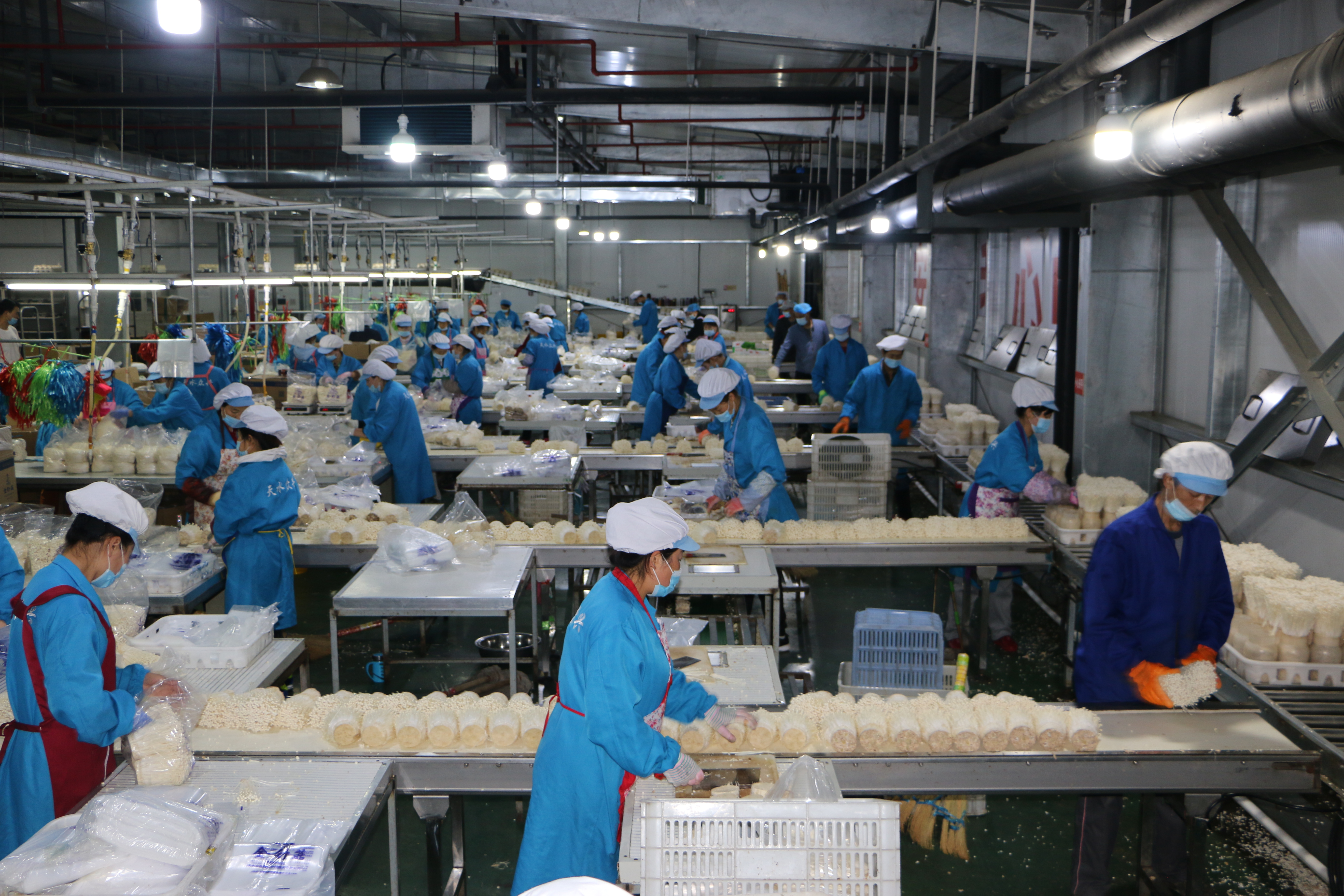 配圖 (2).jpg 配圖 (2).jpg